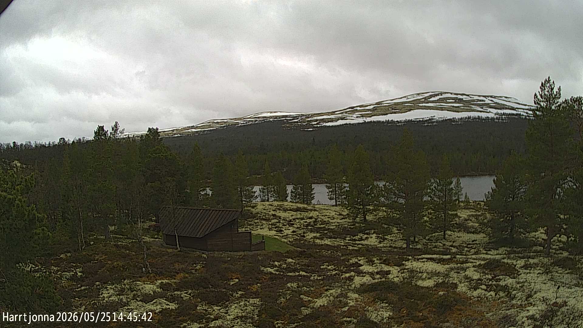 Webcam Harrtjønna, Tolga, Hedmark, Norwegen