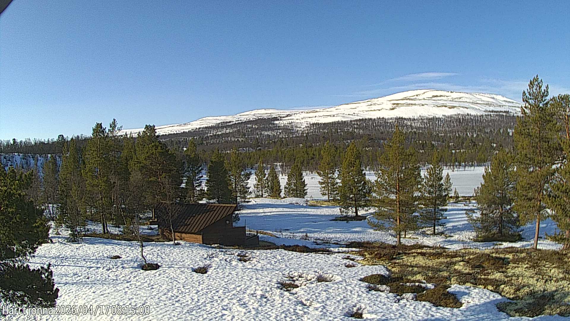 Webcam Harrtjønna, Tolga, Hedmark, Norwegen